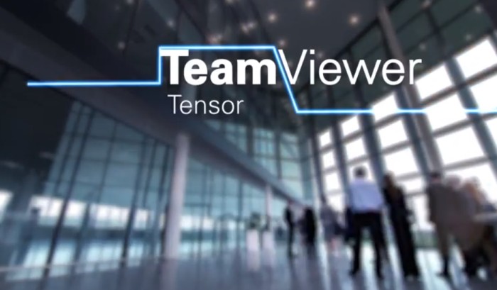 teamviewer tensor license